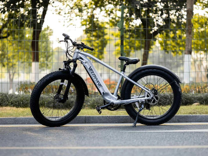 Velowave Ranger 2.0 Electric Bike
